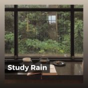 Study Rain