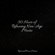 50 Hour of Relaxing New Age Music