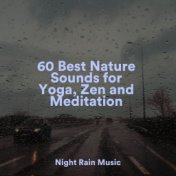 60 Best Nature Sounds for Yoga, Zen and Meditation