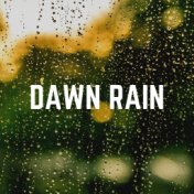 Dawn Rain