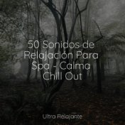 50 Sonidos de Relajación Para Spa - Calma Chill Out