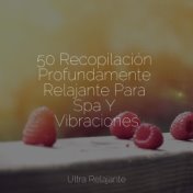 50 Recopilación Profundamente Relajante Para Spa Y Vibraciones