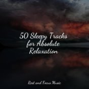 50 Sleepy Tracks for Absolute Relaxation