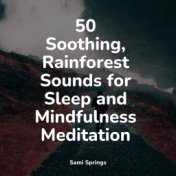 50 Soothing, Rainforest Sounds for Sleep and Mindfulness Meditation