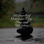 50 Sounds of Nature for Deep Sleep and Relaxation