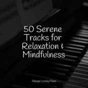 50 Serene Tracks for Relaxation & Mindfulness