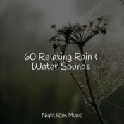 60 Relaxing Rain & Water Sounds