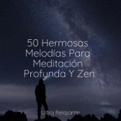 50 Hermosas Melodías Para Meditación Profunda Y Zen