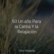 50 Un año Para la Calma Y la Relajación