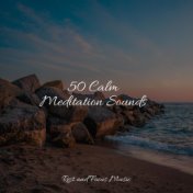 50 Calm Meditation Sounds