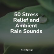 50 Stress Relief and Ambient Rain Sounds
