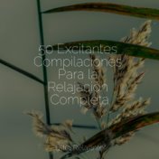 50 Excitantes Compilaciones Para la Relajación Completa