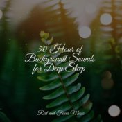 50 Hour of Background Sounds for Deep Sleep