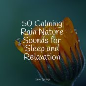 50 Calming Rain Nature Sounds for Sleep and Relaxation