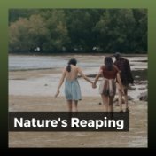 Nature's Reaping