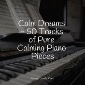 Calm Dreams - 50 Tracks of Pure Calming Piano Pieces