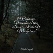 50 Canciones Veranoles Para Dormir, Reiki Y Mindfulness