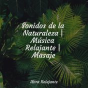 Sonidos de la Naturaleza | Música Relajante | Masaje