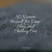 50 Nature Sounds for Deep Sleep and Chilling Out