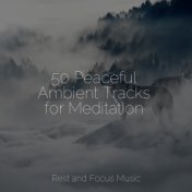 50 Peaceful Ambient Tracks for Meditation