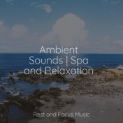 Ambient Sounds | Spa and Relaxation