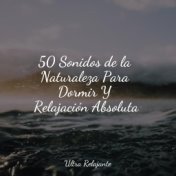 50 Sonidos de la Naturaleza Para Dormir Y Relajación Absoluta