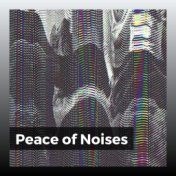 Peace of Noises