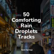 50 Comforting Rain Droplets Tracks