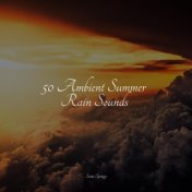 50 Ambient Summer Rain Sounds