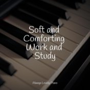 Soft and Comforting Work and Study