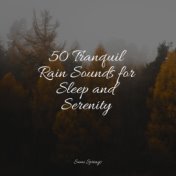 50 Tranquil Rain Sounds for Sleep and Serenity