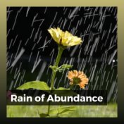 Rain of Abundance