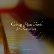 Calming Piano Tracks for Relaxation