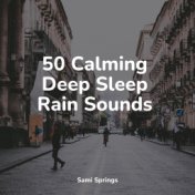 50 Calming Deep Sleep Rain Sounds