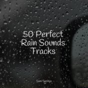 50 Perfect Rain Sounds Tracks