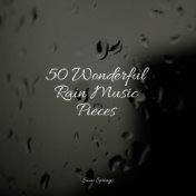 50 Wonderful Rain Music Pieces