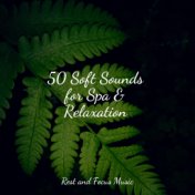 50 Soft Sounds for Spa & Relaxation