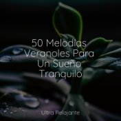 50 Melodías Veranoles Para Un Sueño Tranquilo