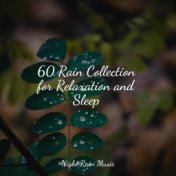 60 Rain Collection for Relaxation and Sleep