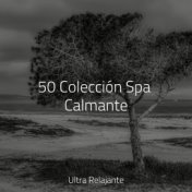 50 Colección Spa Calmante