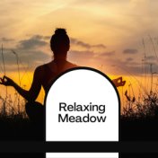 Relaxing Meadow