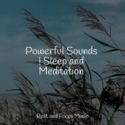 Powerful Sounds | Sleep and Meditation