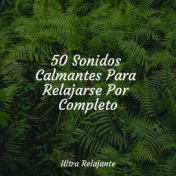 50 Sonidos Calmantes Para Relajarse Por Completo