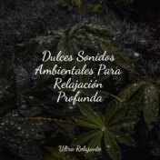 Dulces Sonidos Ambientales Para Relajación Profunda