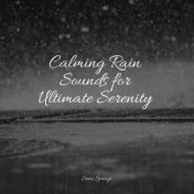 Calming Rain Sounds for Ultimate Serenity