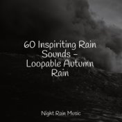 60 Inspiriting Rain Sounds - Loopable Autumn Rain