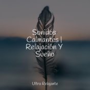 Sonidos Calmantes | Relajación Y Sueño