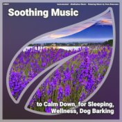 ! #0001 Soothing Music to Calm Down, for Sleeping, Wellness, Dog Barking