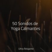 50 Sonidos de Yoga Calmantes