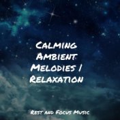 Calming Ambient Melodies | Relaxation